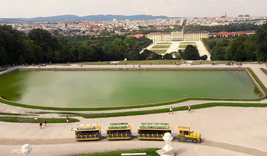 Wien: Tours with locals by public transport & walking - Key highlights in plain terms