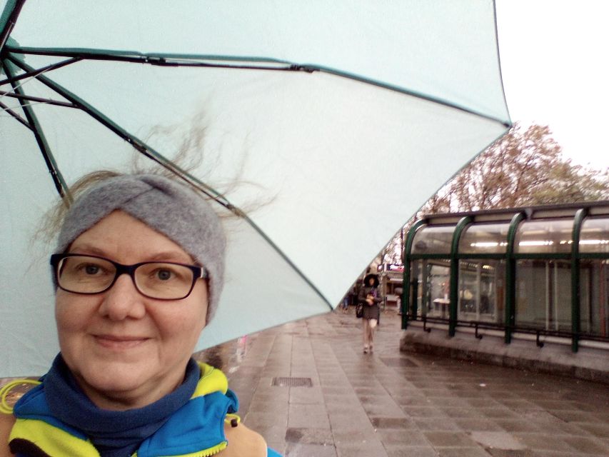 Wien: Tours with locals by public transport & walking - Belvedere with a guided garden walk and easy transit between stops