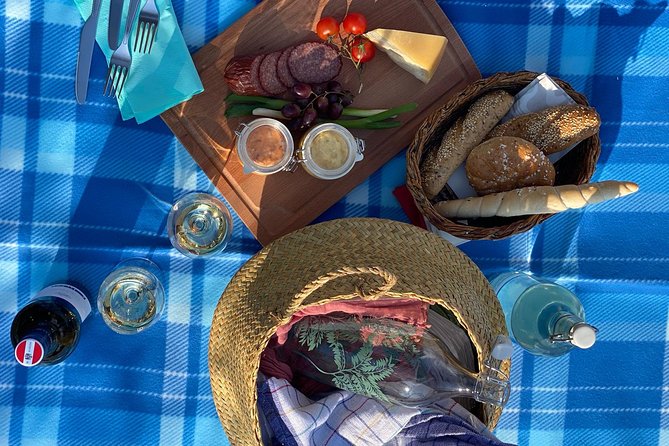 Wine Picknick overlocking vienna - Your 1.5 to 2 Hours Above Vienna: How to Use the Time
